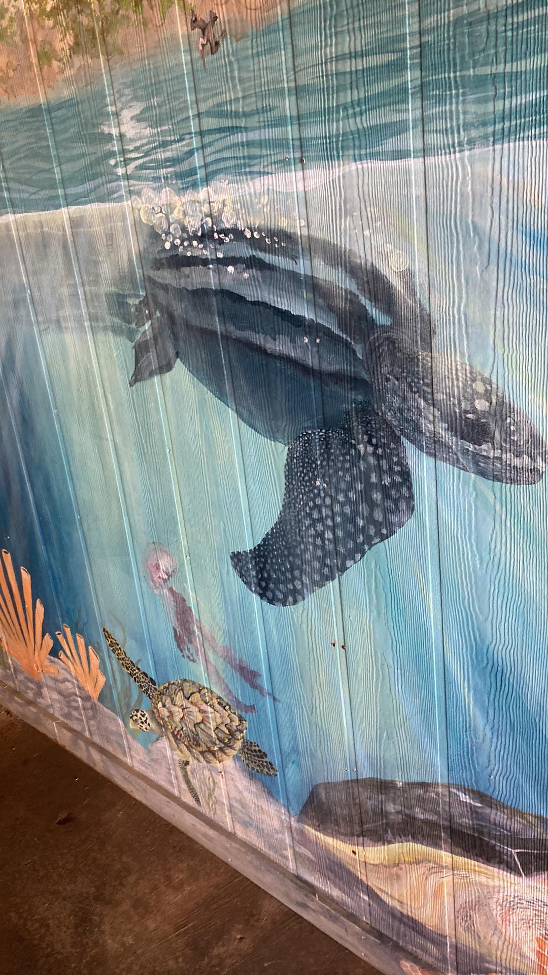 Mural painted for the Amos Rehabilitation Keep in Port Aransas, Texas.