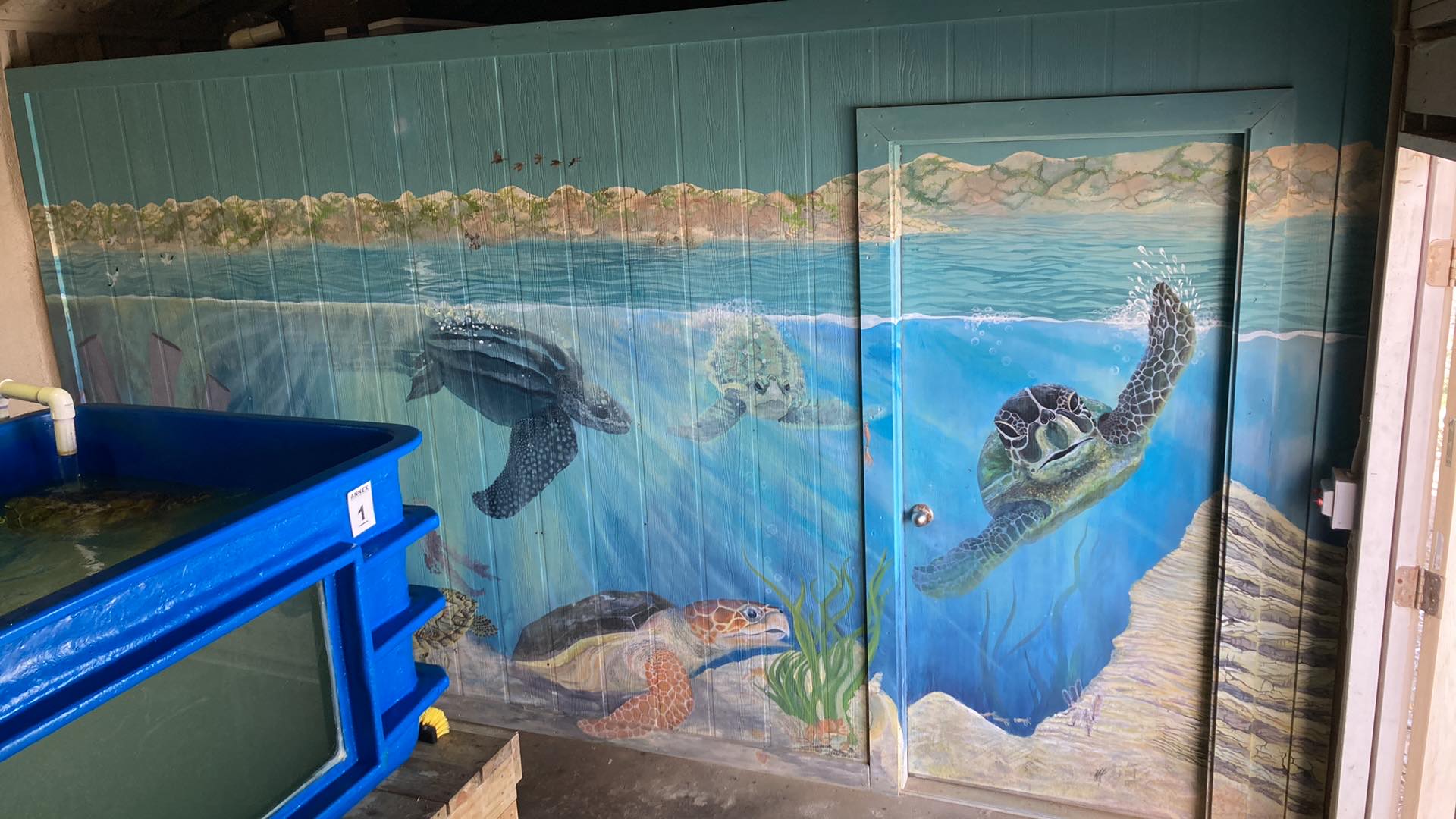 Mural painted for the Amos Rehabilitation Keep in Port Aransas, Texas.