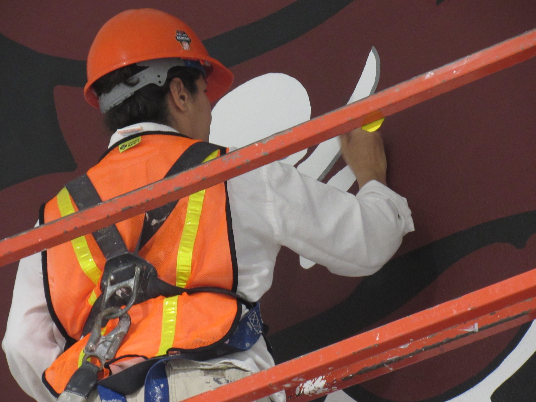 Murals we painted for the London Pirates in the School Gymnasium in Corpus Christi, Texas.