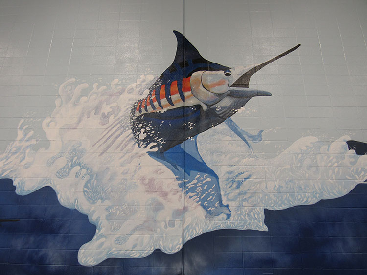 Port Aransas Fighting Marlin's Doyle Marek High School Gymnasium  Mural