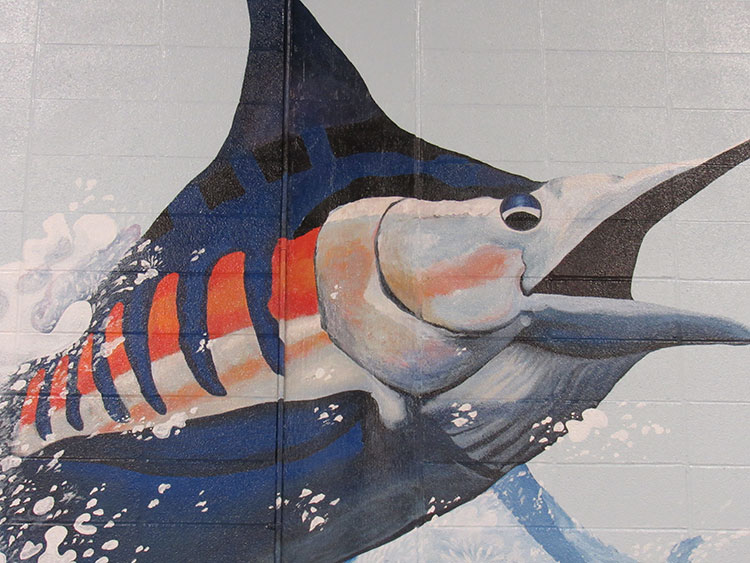 Port Aransas Fighting Marlin's Doyle Marek High School Gymnasium  Mural