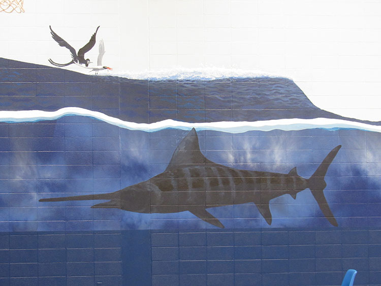 Port Aransas Fighting Marlin's Doyle Marek High School Gymnasium  Mural