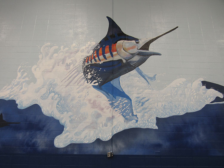 Port Aransas Fighting Marlin's Doyle Marek High School Gymnasium  Mural