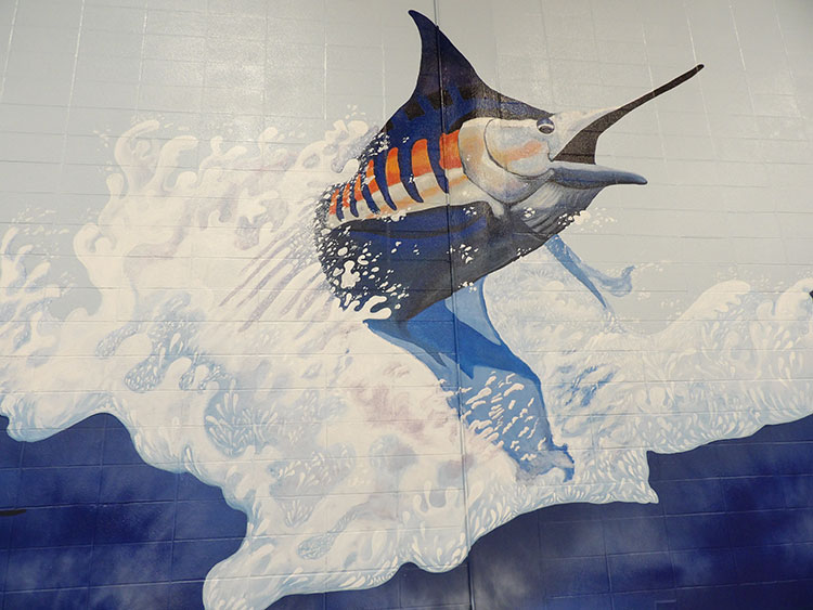 Port Aransas Fighting Marlin's Doyle Marek High School Gymnasium  Mural